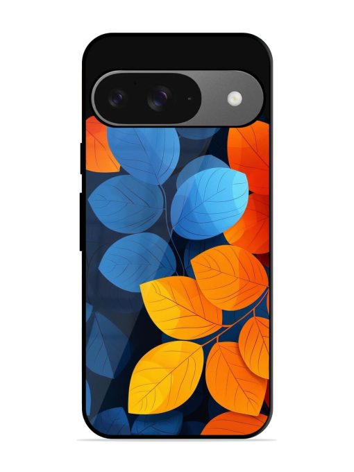 Autumn'S Contrast Glossy Soft Edge Case for Google Pixel 9 Chachhi