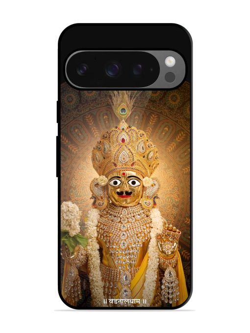 Hare Krishna Maharaj Glossy Soft Edge Case for Google Pixel 9 Pro