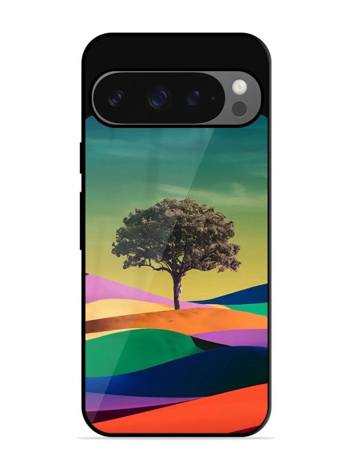 Rainbow'S Lone Sentinel Glossy Soft Edge Case for Google Pixel 9 Pro Xl Chachhi