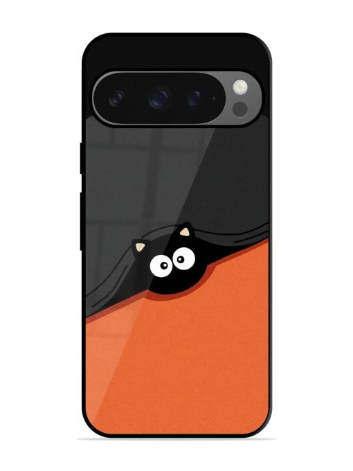 Peek-A-Boo Kitty Glossy Soft Edge Case for Google Pixel 9 Pro Xl Chachhi