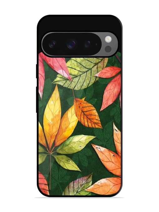 Autumn'S Embrace Glossy Soft Edge Case for Google Pixel 9 Pro Xl Chachhi