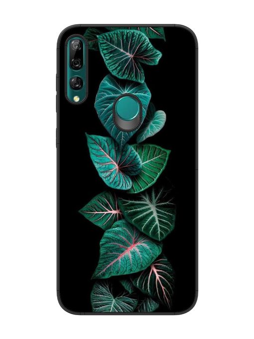 Emerald Elegance Glossy Soft Edge Case for Honor Y9 Prime Chachhi