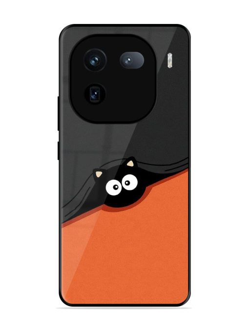 Peek-A-Boo Kitty Glossy Soft Edge Case for Iqoo 12 (5G) Chachhi