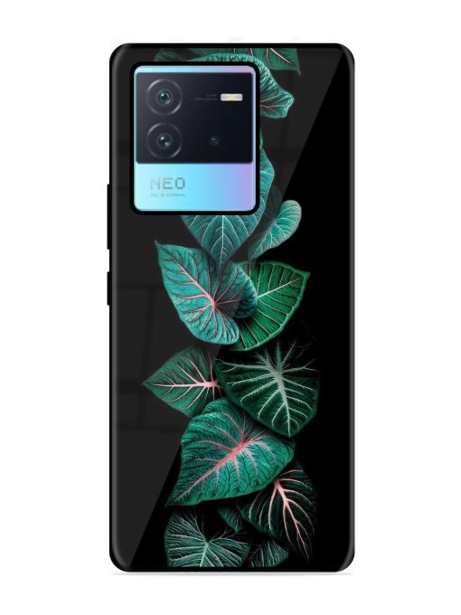 Emerald Elegance Glossy Soft Edge Case for Iqoo Neo 6 (5G) Chachhi