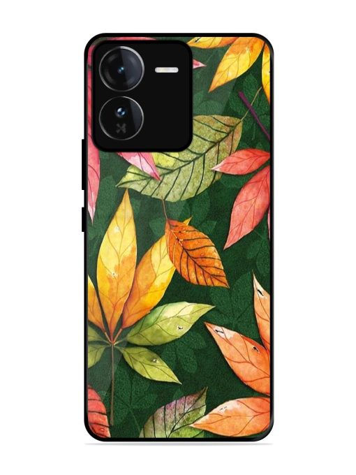 Autumn'S Embrace Glossy Soft Edge Case for Iqoo Z9 (5G) Chachhi