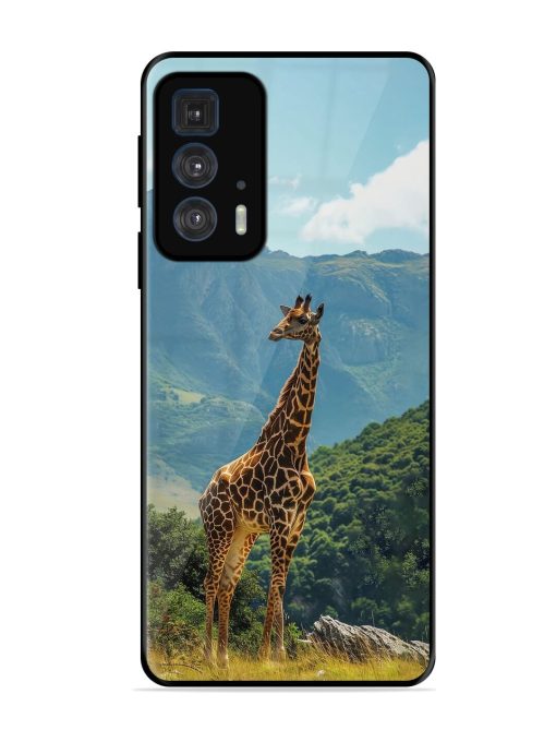Gentle Giant Glossy Soft Edge Case for Motorola Edge 20 Pro