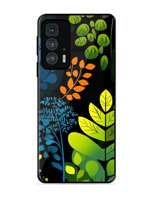 Midnight Garden Glossy Soft Edge Case for Motorola Edge 20 Pro Chachhi