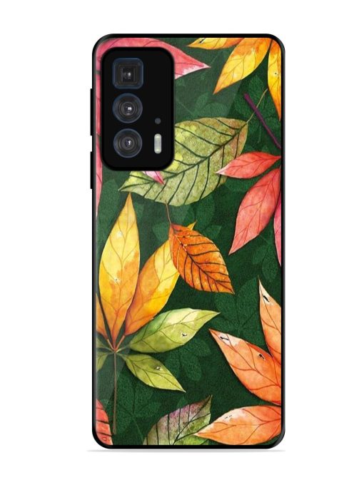 Autumn'S Embrace Glossy Soft Edge Case for Motorola Edge 20 Pro Chachhi