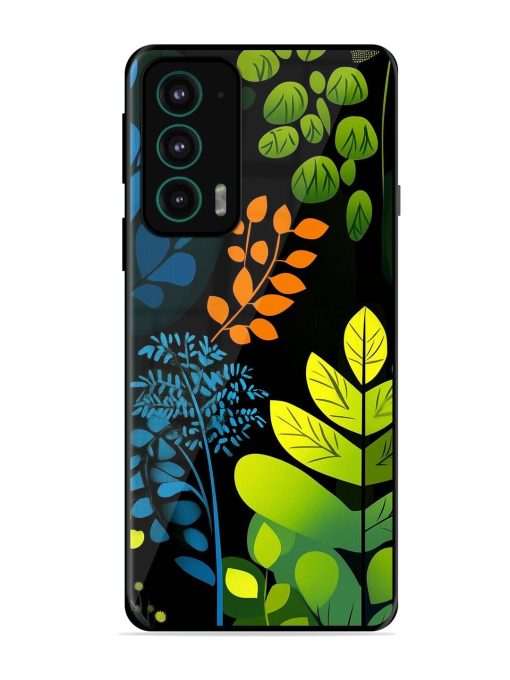 Midnight Garden Glossy Soft Edge Case for Motorola Moto Edge 20 Chachhi