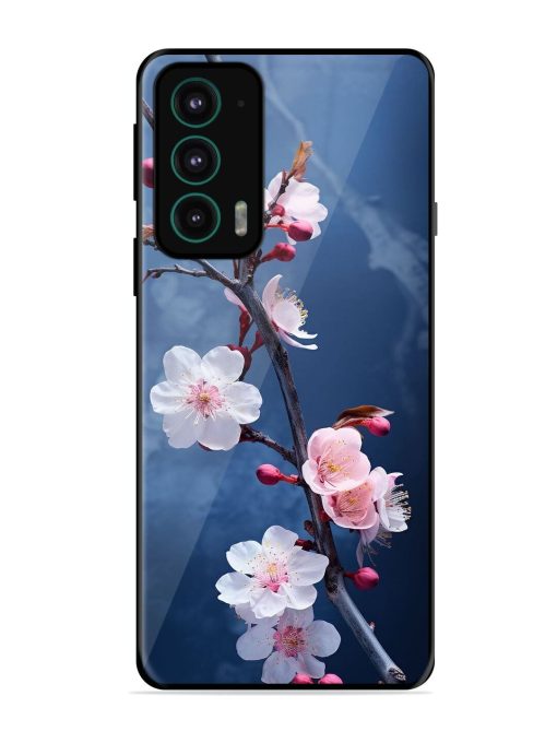 Delicate Blossoms Glossy Soft Edge Case for Motorola Moto Edge 20 Chachhi