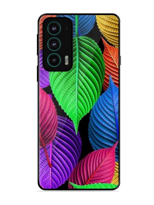 Rainbow Leaf Symphony Glossy Soft Edge Case for Motorola Moto Edge 20 Chachhi