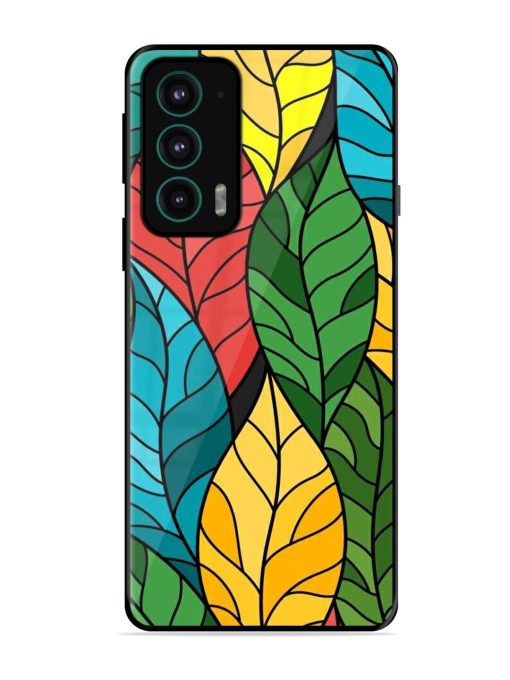 Foliage Fiesta Glossy Soft Edge Case for Motorola Moto Edge 20 Chachhi