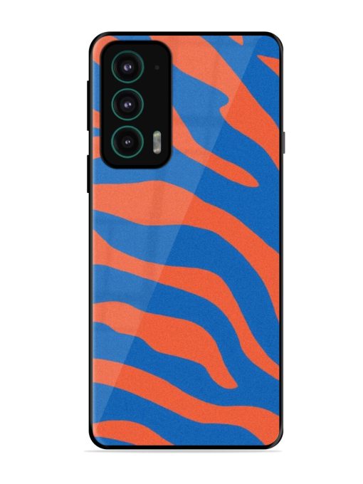 Zebra Stripes In Blue And Orange Glossy Soft Edge Case for Motorola Moto Edge 20 Chachhi