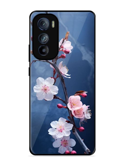 Delicate Blossoms Glossy Soft Edge Case for Motorola Moto Edge 30 Chachhi