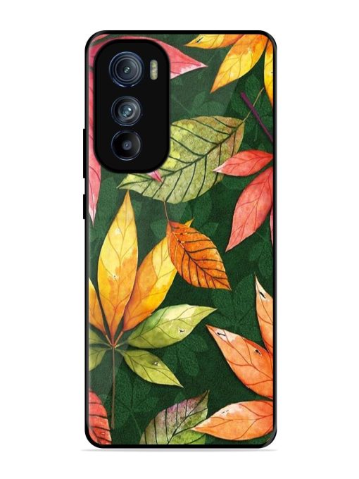 Autumn'S Embrace Glossy Soft Edge Case for Motorola Moto Edge 30 Chachhi