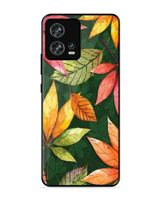 Autumn'S Embrace Glossy Soft Edge Case for Motorola Moto Edge 30 Fusion Chachhi