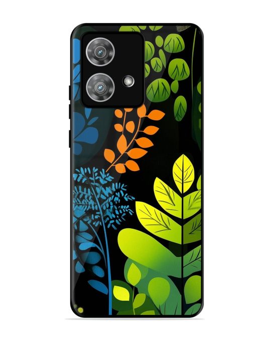 Midnight Garden Glossy Soft Edge Case for Motorola Moto Edge 40 Neo Chachhi