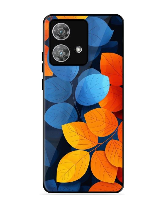 Autumn'S Contrast Glossy Soft Edge Case for Motorola Moto Edge 40 Neo