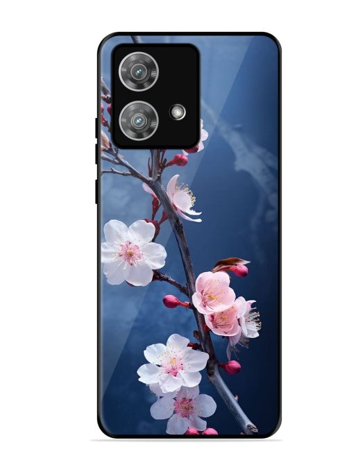 Delicate Blossoms Glossy Soft Edge Case for Motorola Moto Edge 40 Neo Chachhi