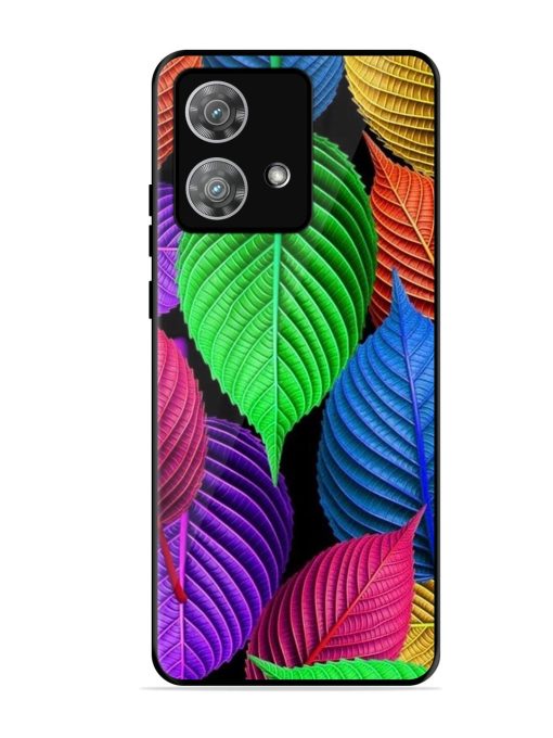 Rainbow Leaf Symphony Glossy Soft Edge Case for Motorola Moto Edge 40 Neo Chachhi