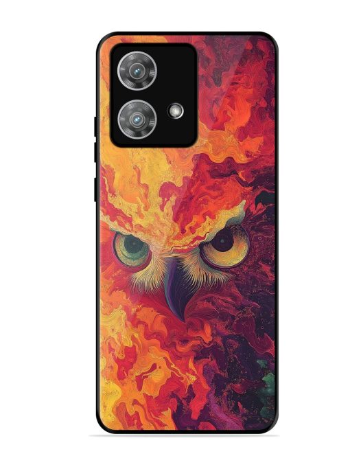 Fiery Owl Glossy Soft Edge Case for Motorola Moto Edge 40 Neo Chachhi