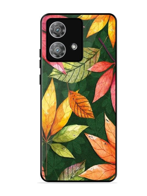 Autumn'S Embrace Glossy Soft Edge Case for Motorola Moto Edge 40 Neo Chachhi