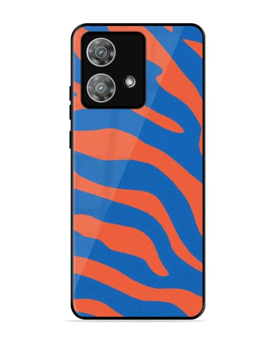 Zebra Stripes In Blue And Orange Glossy Soft Edge Case for Motorola Moto Edge 40 Neo Chachhi