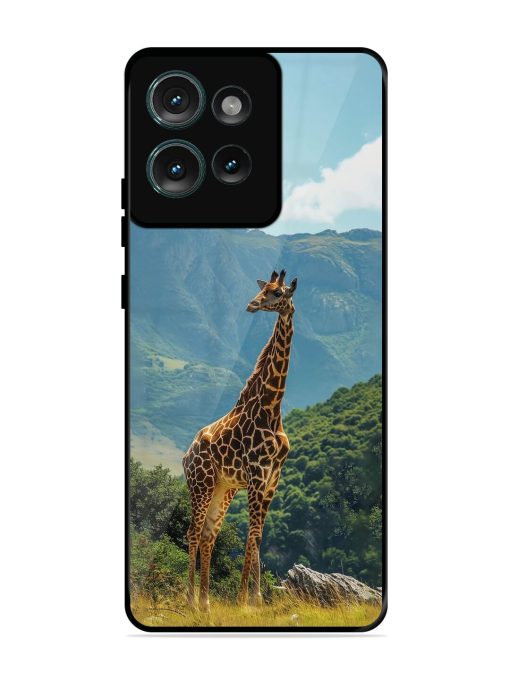 Gentle Giant Glossy Soft Edge Case for Motorola Moto Edge 50 (5G)