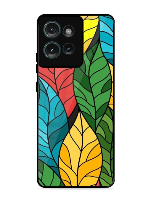 Foliage Fiesta Glossy Soft Edge Case for Motorola Moto Edge 50 (5G) Chachhi