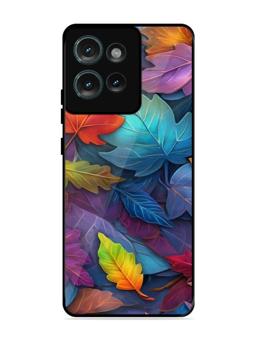 Autumn'S Embrace Glossy Soft Edge Case for Motorola Moto Edge 50 (5G) Chachhi