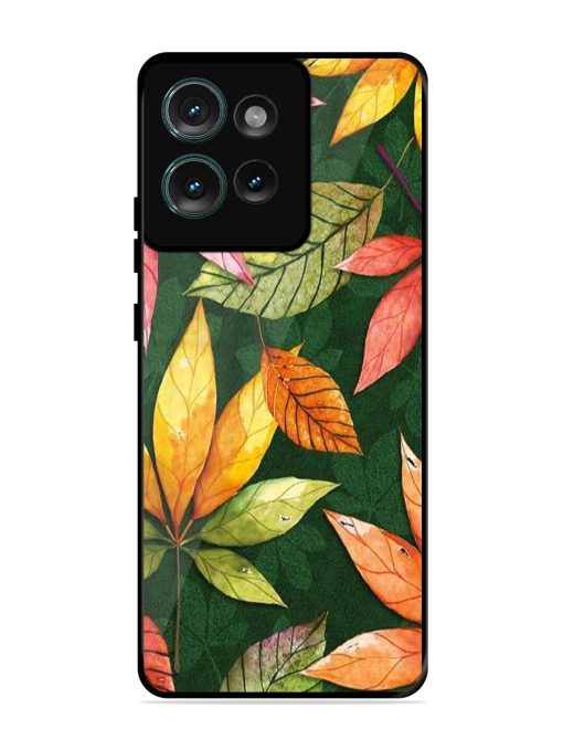 Autumn'S Embrace Glossy Soft Edge Case for Motorola Moto Edge 50 (5G) Chachhi