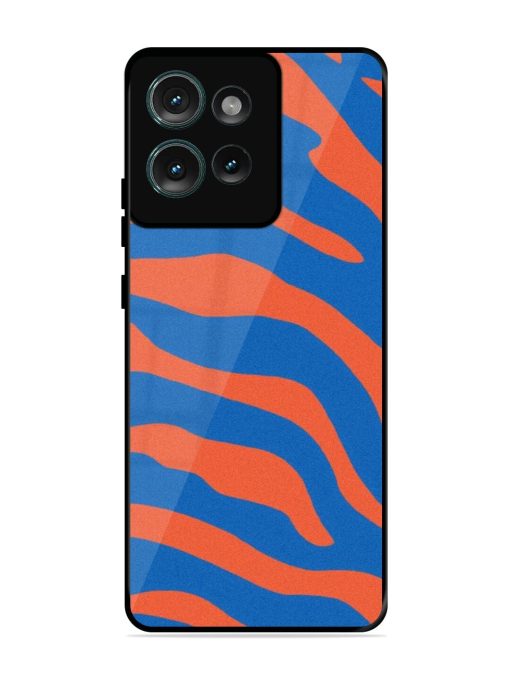 Zebra Stripes In Blue And Orange Glossy Soft Edge Case for Motorola Moto Edge 50 (5G) Chachhi