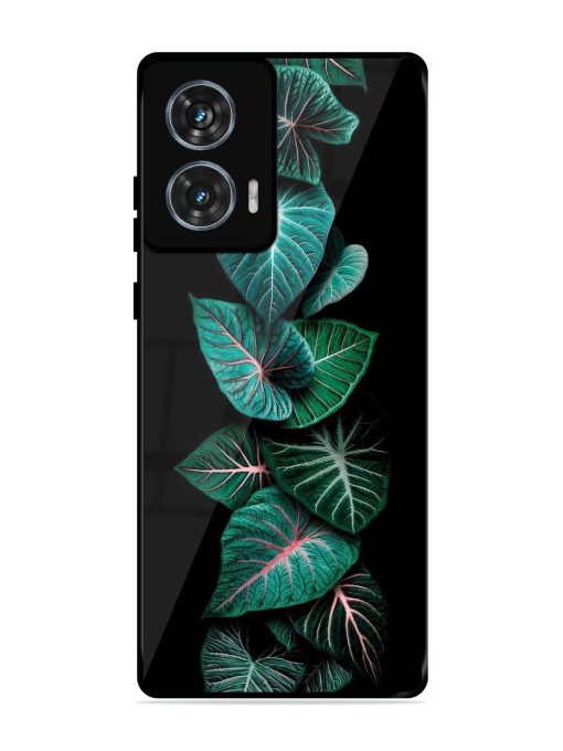 Emerald Elegance Glossy Soft Edge Case for Motorola Moto Edge 50 Fusion (5G) Chachhi