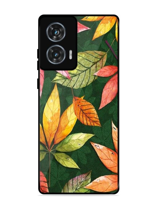 Autumn'S Embrace Glossy Soft Edge Case for Motorola Moto Edge 50 Fusion (5G) Chachhi