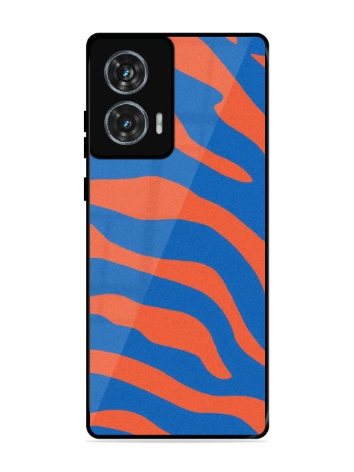 Zebra Stripes In Blue And Orange Glossy Soft Edge Case for Motorola Moto Edge 50 Fusion (5G) Chachhi