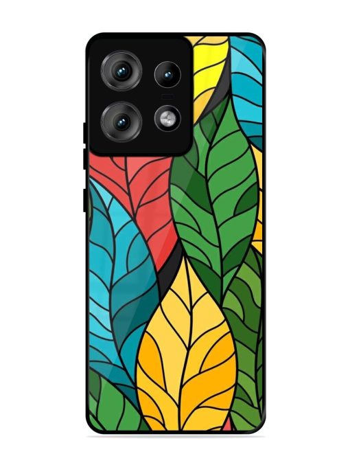 Foliage Fiesta Glossy Soft Edge Case for Motorola Moto Edge 50 Pro (5G) Chachhi