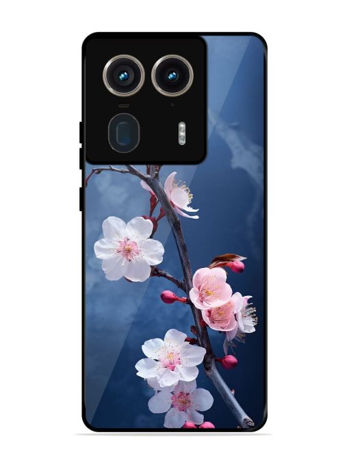 Delicate Blossoms Glossy Soft Edge Case for Motorola Moto Edge 50 Ultra (5G) Chachhi