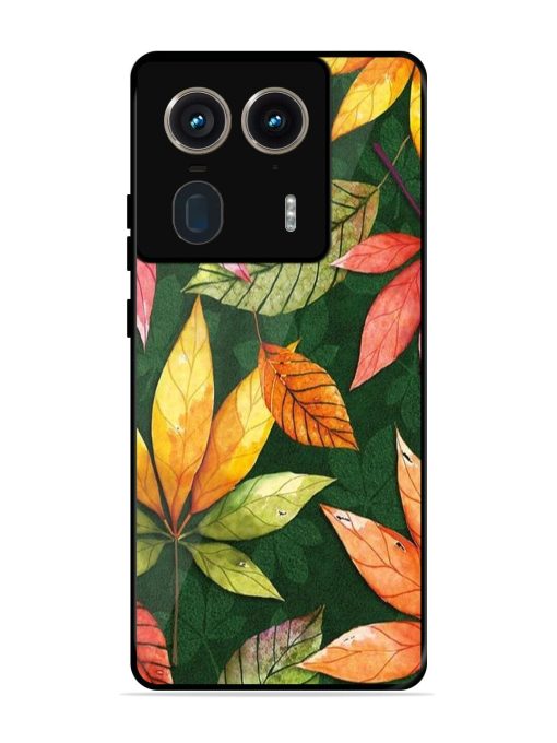 Autumn'S Embrace Glossy Soft Edge Case for Motorola Moto Edge 50 Ultra (5G) Chachhi