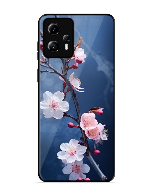 Delicate Blossoms Glossy Soft Edge Case for Motorola Moto G13 Chachhi