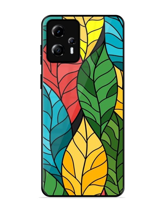 Foliage Fiesta Glossy Soft Edge Case for Motorola Moto G13 Chachhi