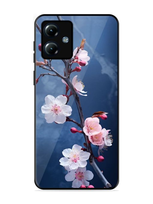 Delicate Blossoms Glossy Soft Edge Case for Motorola Moto G14 Chachhi