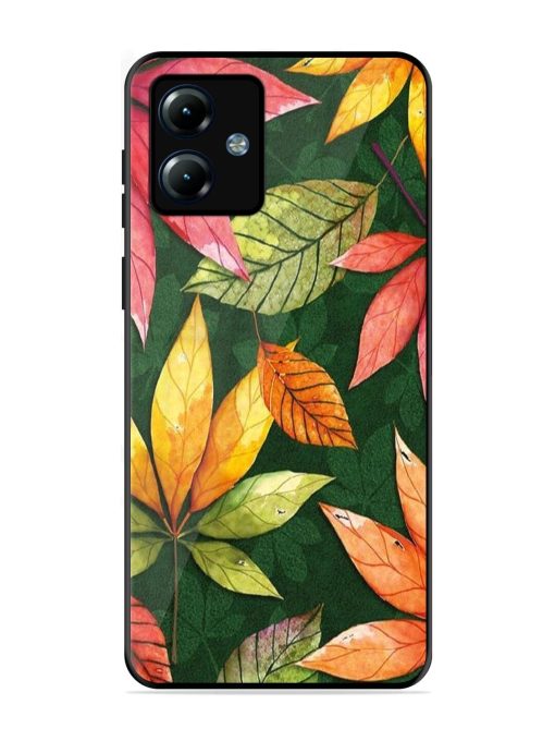 Autumn'S Embrace Glossy Soft Edge Case for Motorola Moto G14 Chachhi