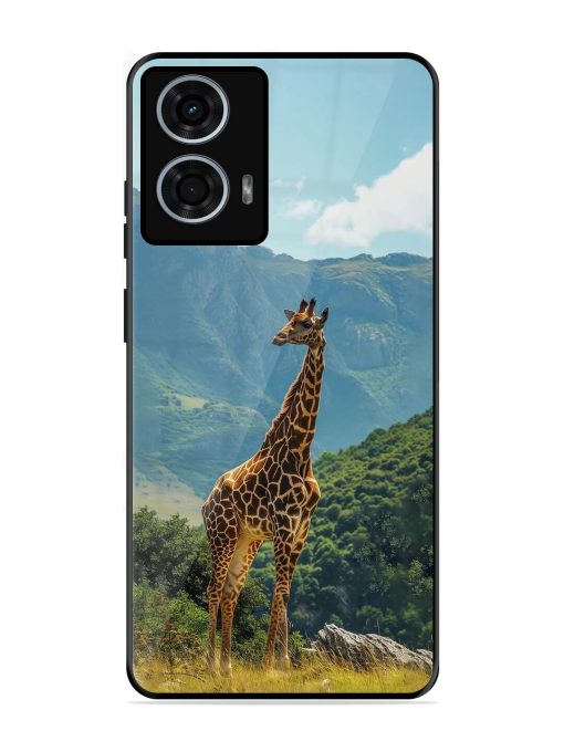 Gentle Giant Glossy Soft Edge Case for Motorola Moto G24 Power