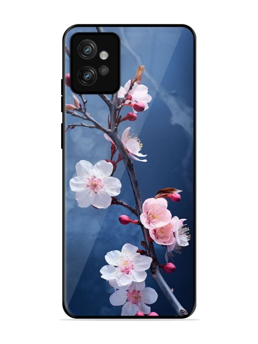 Delicate Blossoms Glossy Soft Edge Case for Motorola Moto G32 Chachhi