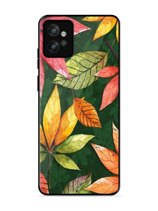 Autumn'S Embrace Glossy Soft Edge Case for Motorola Moto G32 Chachhi