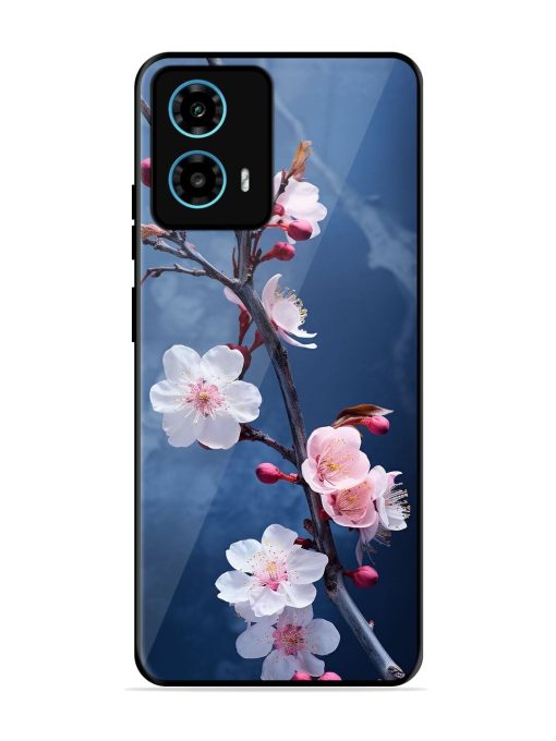 Delicate Blossoms Glossy Soft Edge Case for Motorola Moto G34 (5G) Chachhi