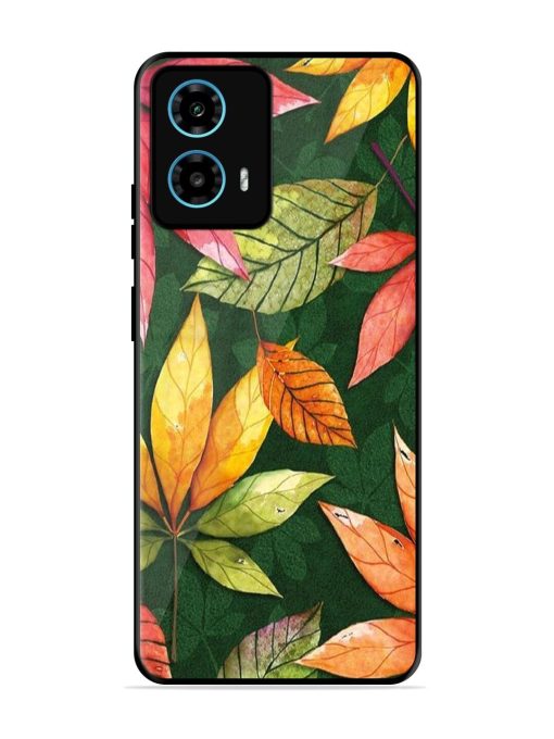 Autumn'S Embrace Glossy Soft Edge Case for Motorola Moto G34 (5G) Chachhi