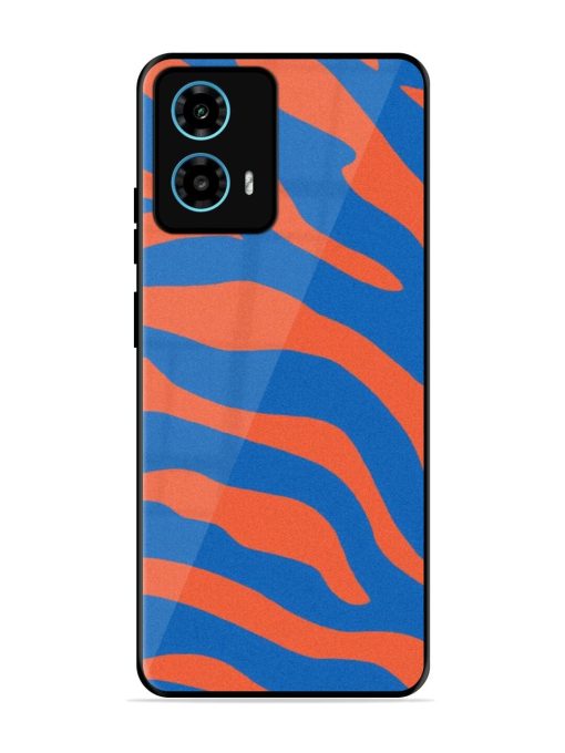 Zebra Stripes In Blue And Orange Glossy Soft Edge Case for Motorola Moto G34 (5G) Chachhi