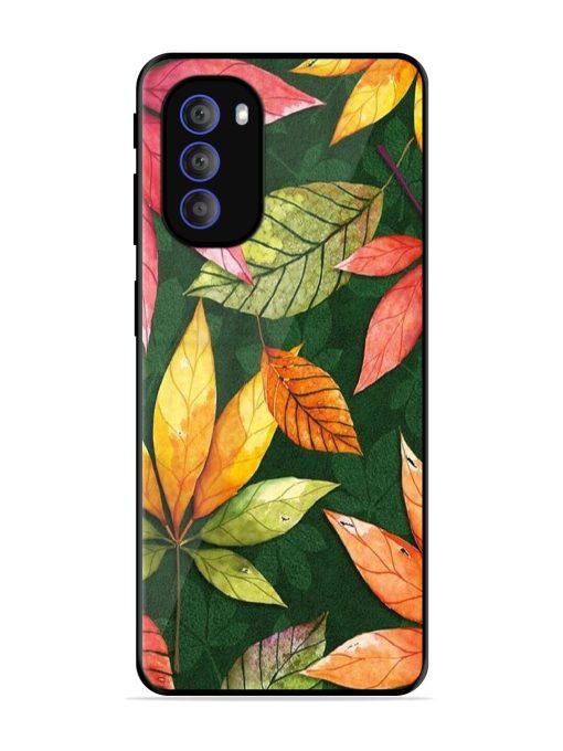 Autumn'S Embrace Glossy Soft Edge Case for Motorola Moto G51 (5G) Chachhi