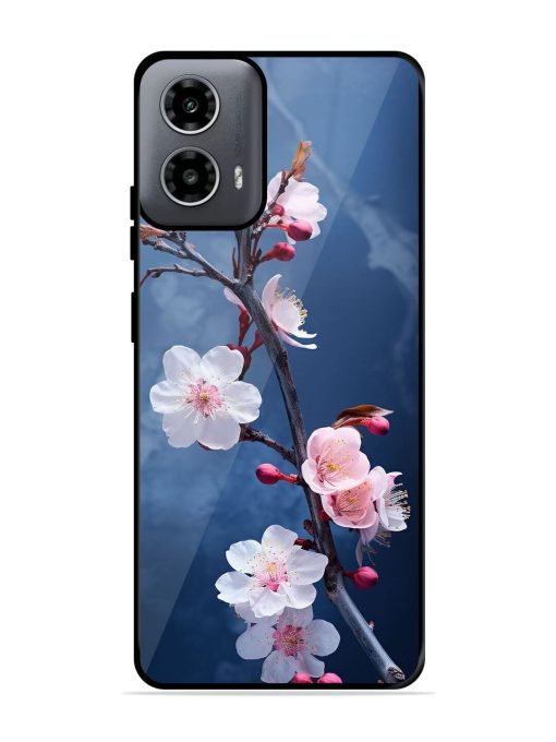 Delicate Blossoms Glossy Soft Edge Case for Motorola Moto G54 (5G) Chachhi